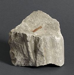 Fragment de draperie (Portail du couronnement, Notre-Dame de Paris)