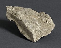 Fragment de draperie (Portail du couronnement, Notre-Dame de Paris)