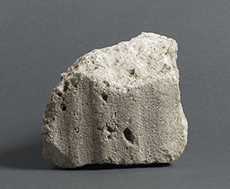 Fragment de drapé (Galerie des rois de la façade occidentale, Notre-Dame de Paris)