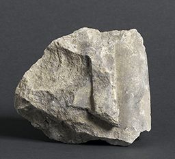 Fragment de moulure (parties hautes de Notre-Dame de Paris)