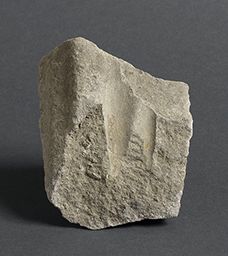 Fragment de draperie (Notre-Dame de Paris)