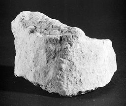 Fragment de poignet (Galerie des rois de la façade occidentale, Notre-Dame de Paris)