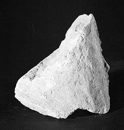 Fragment de bras (Galerie des rois de la façade occidentale, Notre-Dame de Paris)