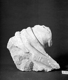 Fragment d’avant-bras (Portail central, Notre-Dame de Paris)