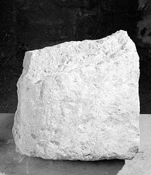 Fragment de dos (Galerie des rois de la façade occidentale, Notre-Dame de Paris)