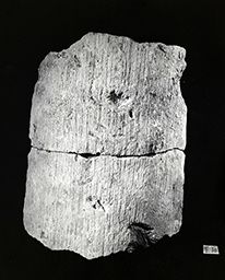Fragment de colonne (Portail central, Notre-Dame de Paris)