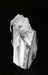 Fragment de draperie (Portail central, Notre-Dame de Paris)