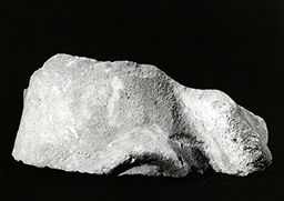 Cou (flanc Nord ou sud de Notre-Dame de Paris)