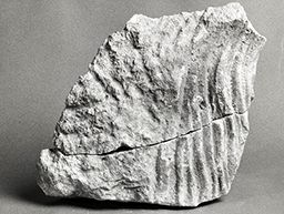 Fragment de tête de roi : cheveux (Galerie des rois de la façade occidentale, Notre-Dame de Paris)