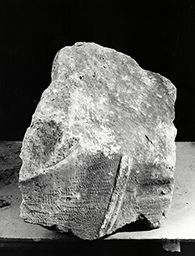Fragment de torse (Galerie des rois de la façade occidentale, Notre-Dame de Paris)