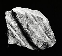 Fragment de drapé (Galerie des rois de la façade occidentale, Notre-Dame de Paris)