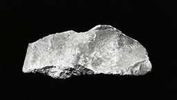 Fragment de cou (Galerie des rois de la façade occidentale, Notre-Dame de Paris)