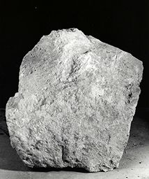 Fragment de dos (Galerie des rois de la façade occidentale, Notre-Dame de Paris)