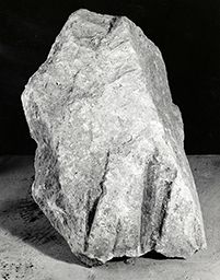 Fragment de drapé (Galerie des rois de la façade occidentale, Notre-Dame de Paris)