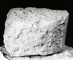 Fragment de drapé (Galerie des rois de la façade occidentale, Notre-Dame de Paris)