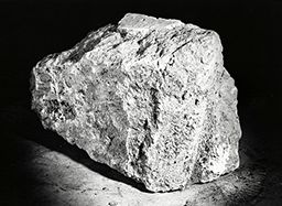 Fragment de drapé (Galerie des rois de la façade occidentale, Notre-Dame de Paris)