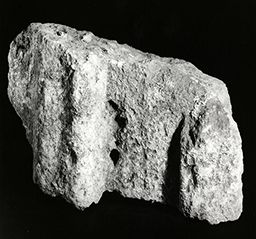 Fragment de drapé (Galerie des rois de la façade occidentale, Notre-Dame de Paris)