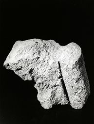 Fragment de drapé (Galerie des rois de la façade occidentale, Notre-Dame de Paris)