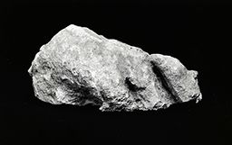 Fragment de torse (Galerie des rois de la façade occidentale, Notre-Dame de Paris)