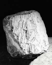 Fragment de drapé (Galerie des rois de la façade occidentale, Notre-Dame de Paris)