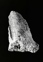 Fragment de drapé (Galerie des rois de la façade occidentale, Notre-Dame de Paris)