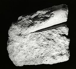 Fragment de drapé (Galerie des rois de la façade occidentale, Notre-Dame de Paris)