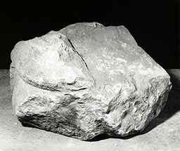 Fragment de pied (Galerie des rois de la façade occidentale, Notre-Dame de Paris)