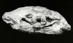 Fragment de frise (parties hautes de Notre-Dame de Paris)