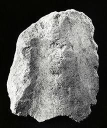 Fragment de draperie (Notre-Dame de Paris)